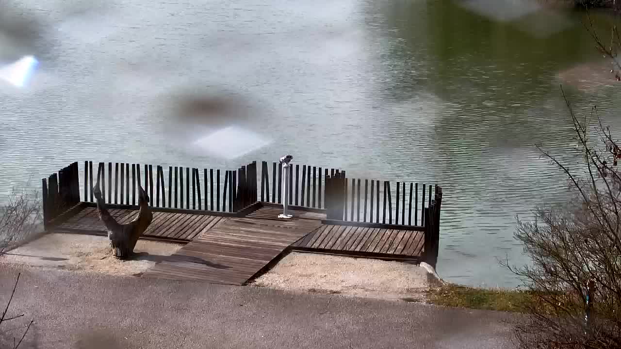 Spletna kamera Ribnik Vrbje – Žalec