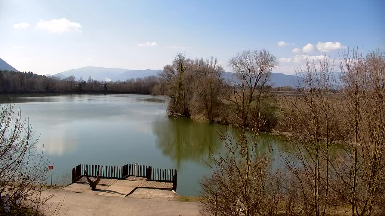 Webcam Ribnik Vrbje – Žalec