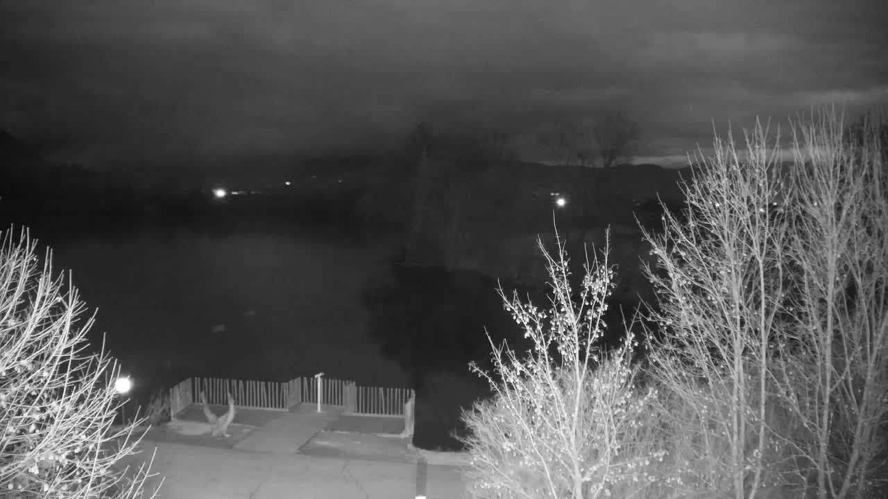 Webcam Ribnik Vrbje – Žalec