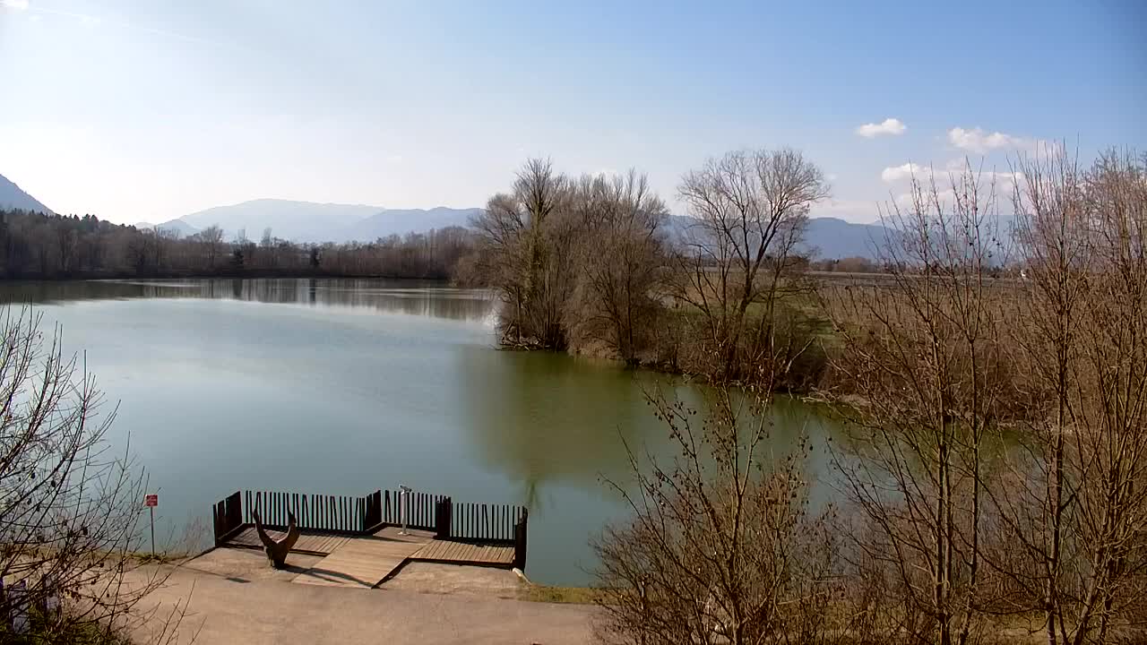 Webcam Ribnik Vrbje – Žalec