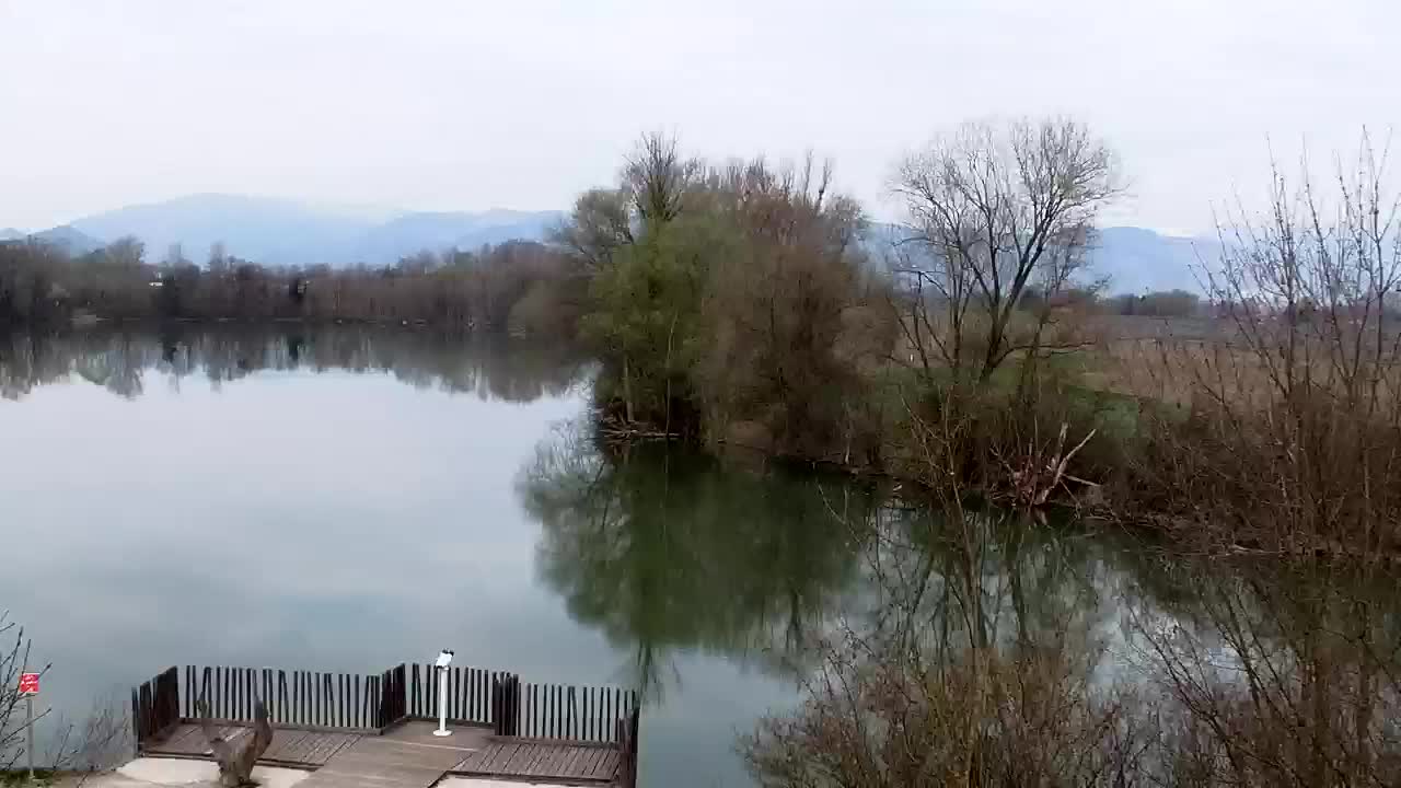 Webcam Ribnik Vrbje – Žalec