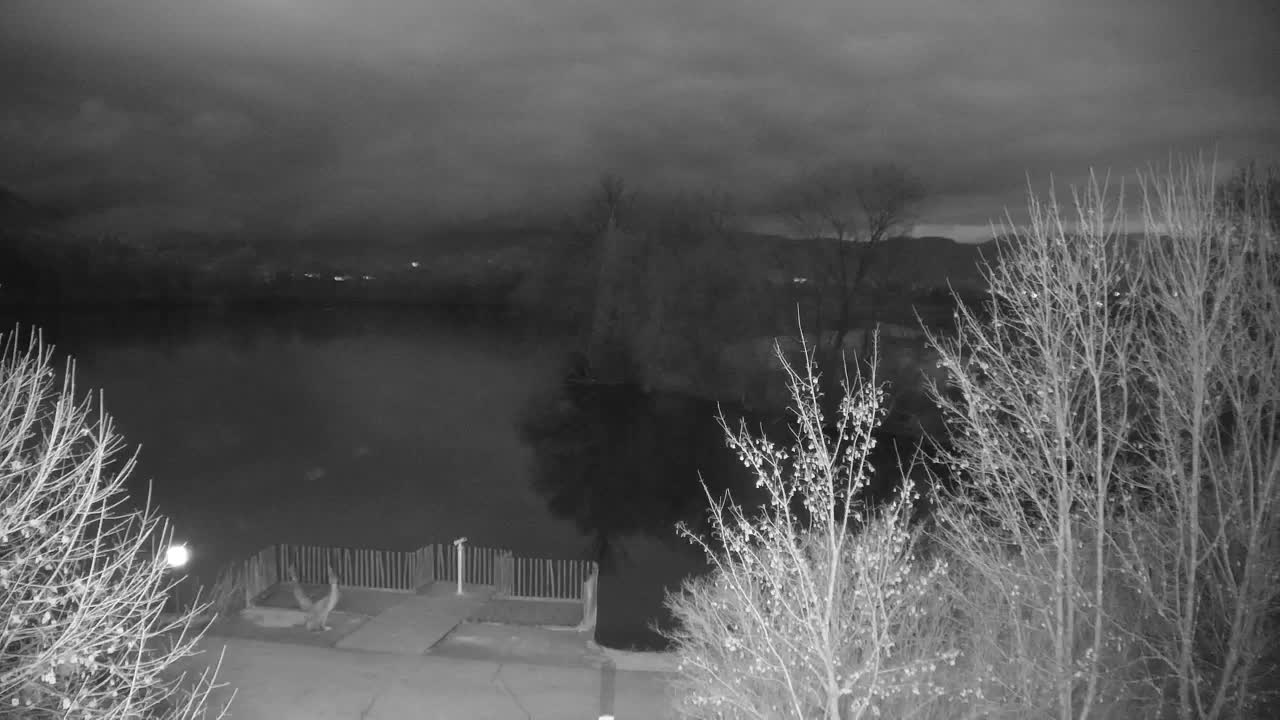 Webcam Ribnik Vrbje – Žalec