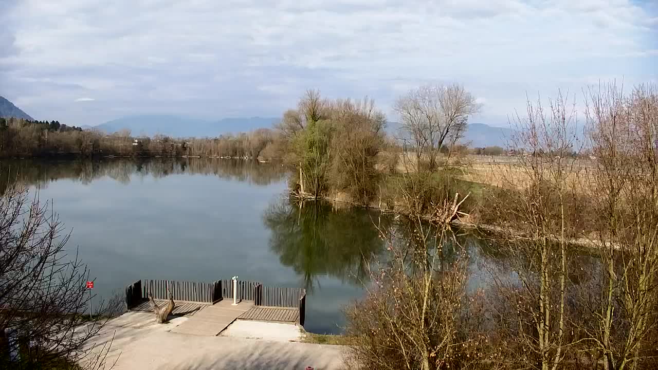 Spletna kamera Ribnik Vrbje – Žalec