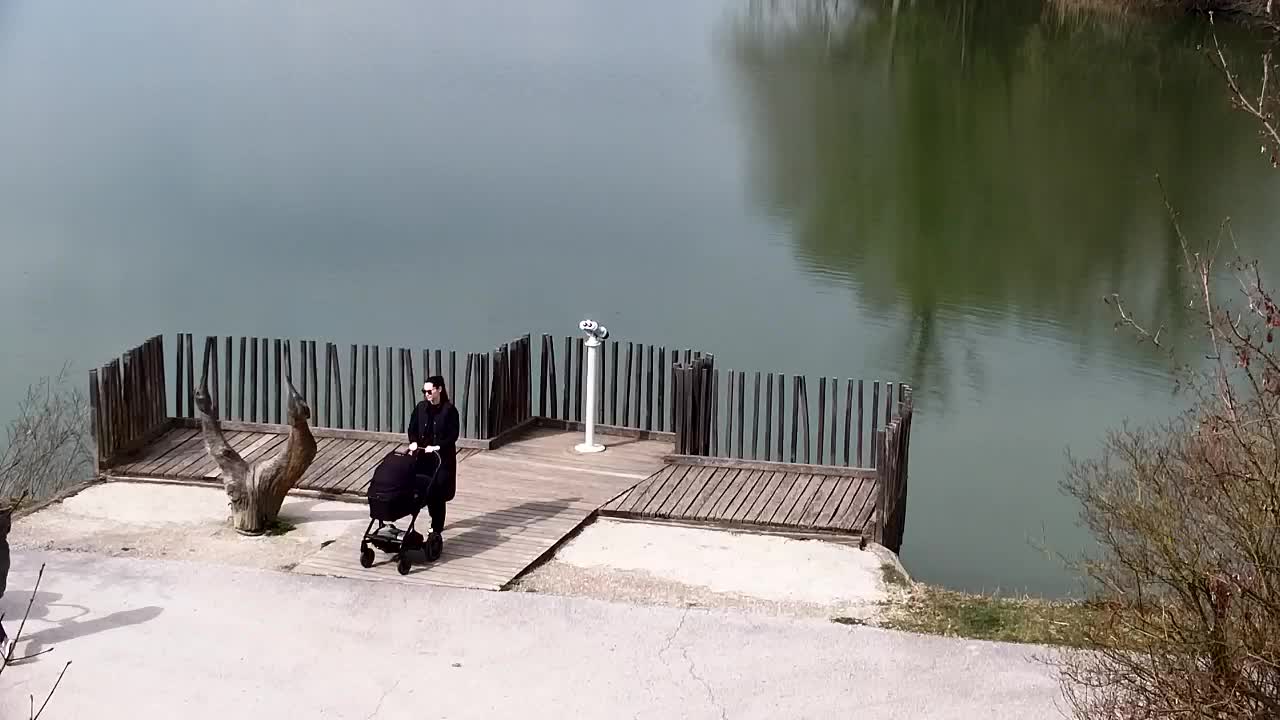 Spletna kamera Ribnik Vrbje – Žalec