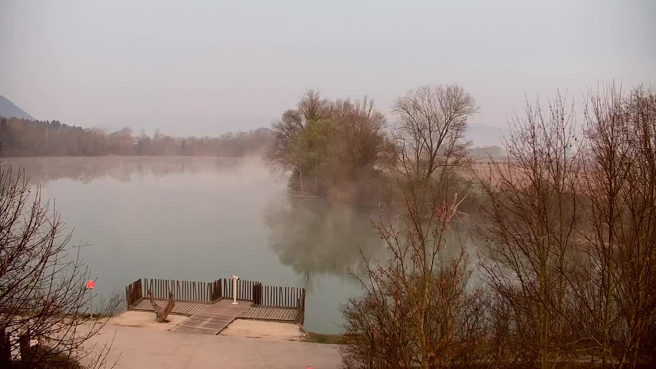 Webcam Ribnik Vrbje – Žalec