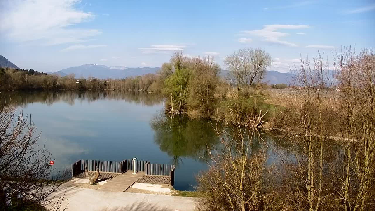 Webcam Ribnik Vrbje – Žalec