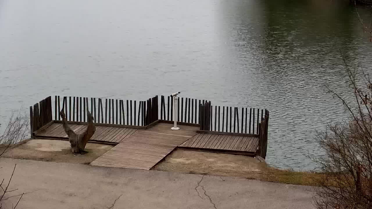 Webcam Ribnik Vrbje – Žalec