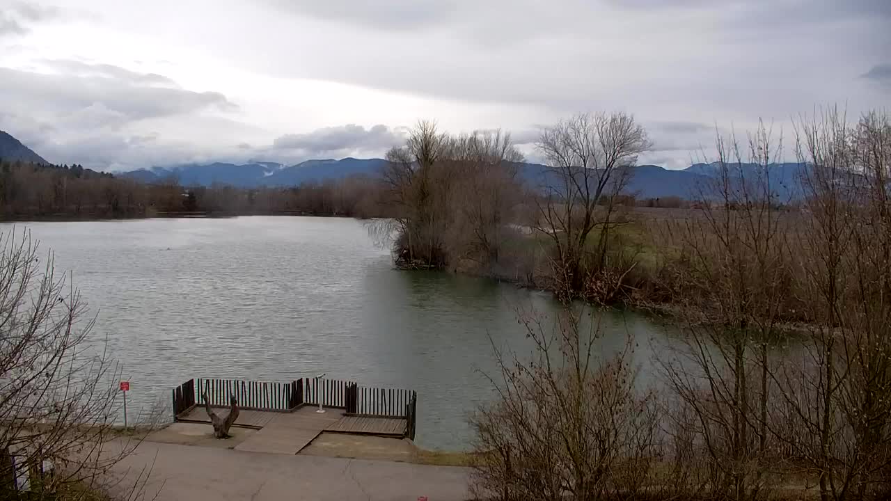 Webcam Ribnik Vrbje – Žalec