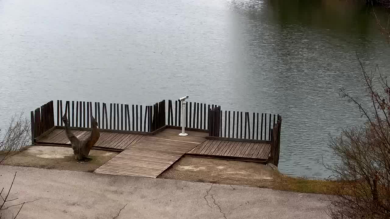 Webcam Ribnik Vrbje – Žalec