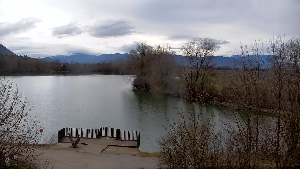 Webcam Ribnik Vrbje – Žalec