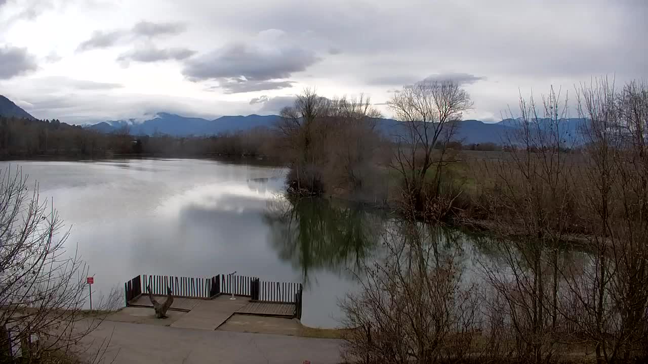 Webcam Ribnik Vrbje – Žalec