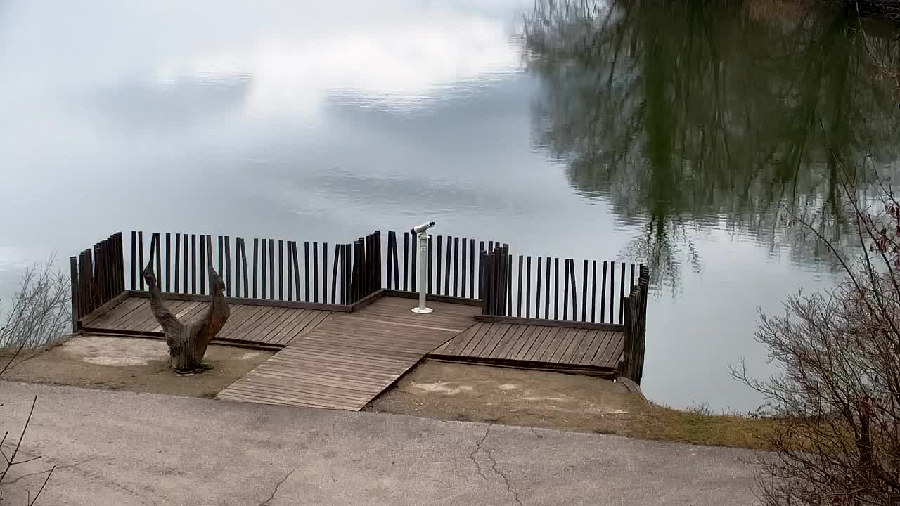 Webcam Ribnik Vrbje – Žalec