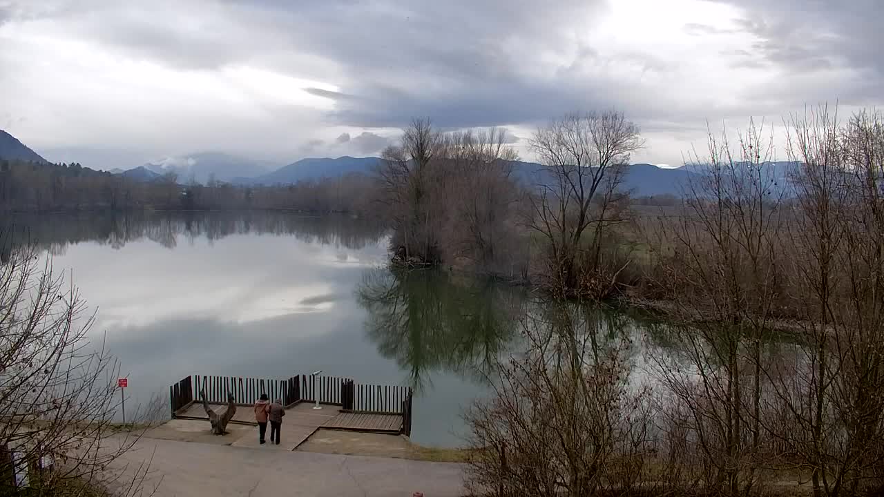 Webcam Ribnik Vrbje – Žalec