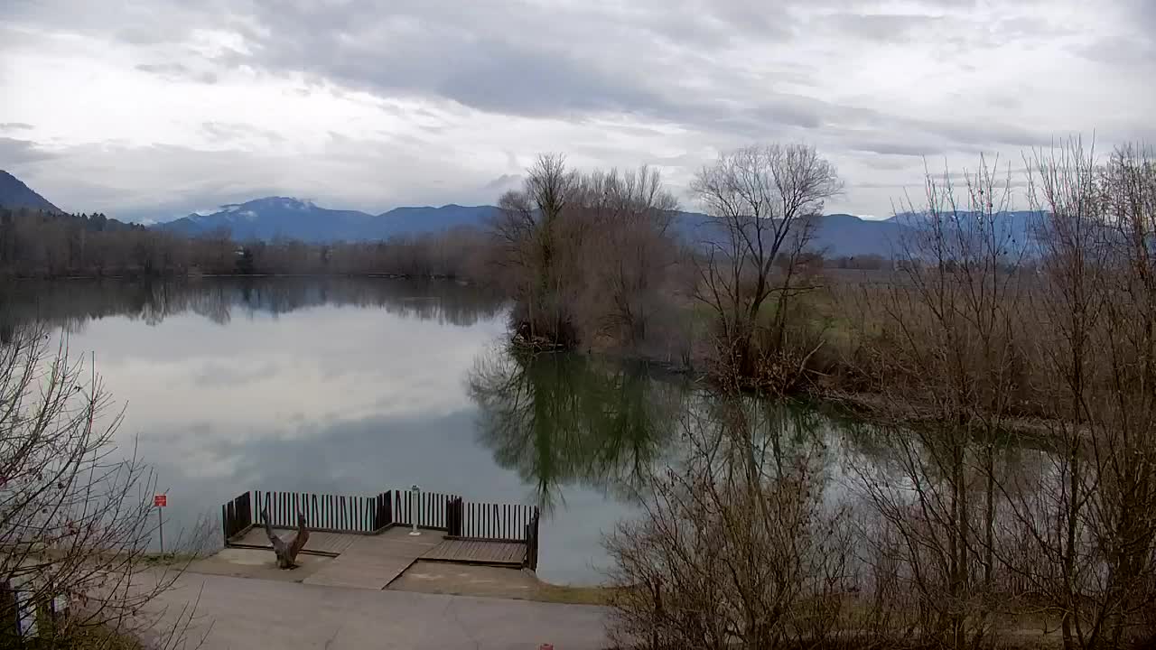 Webcam Ribnik Vrbje – Žalec