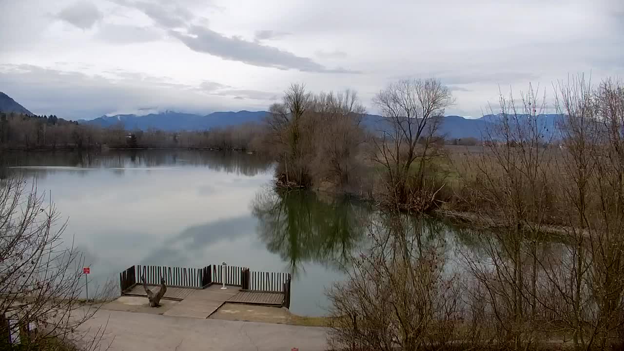 Webcam Ribnik Vrbje – Žalec