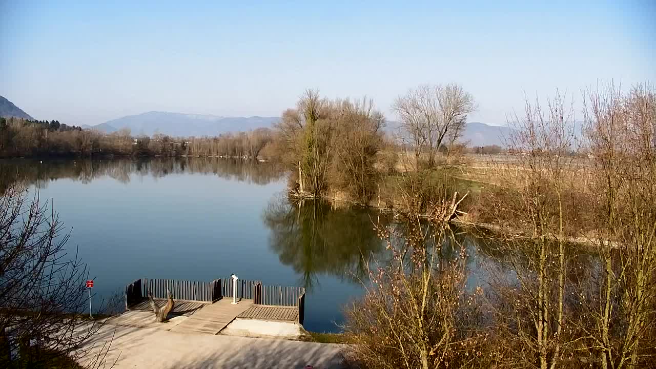 Webcam Ribnik Vrbje – Žalec