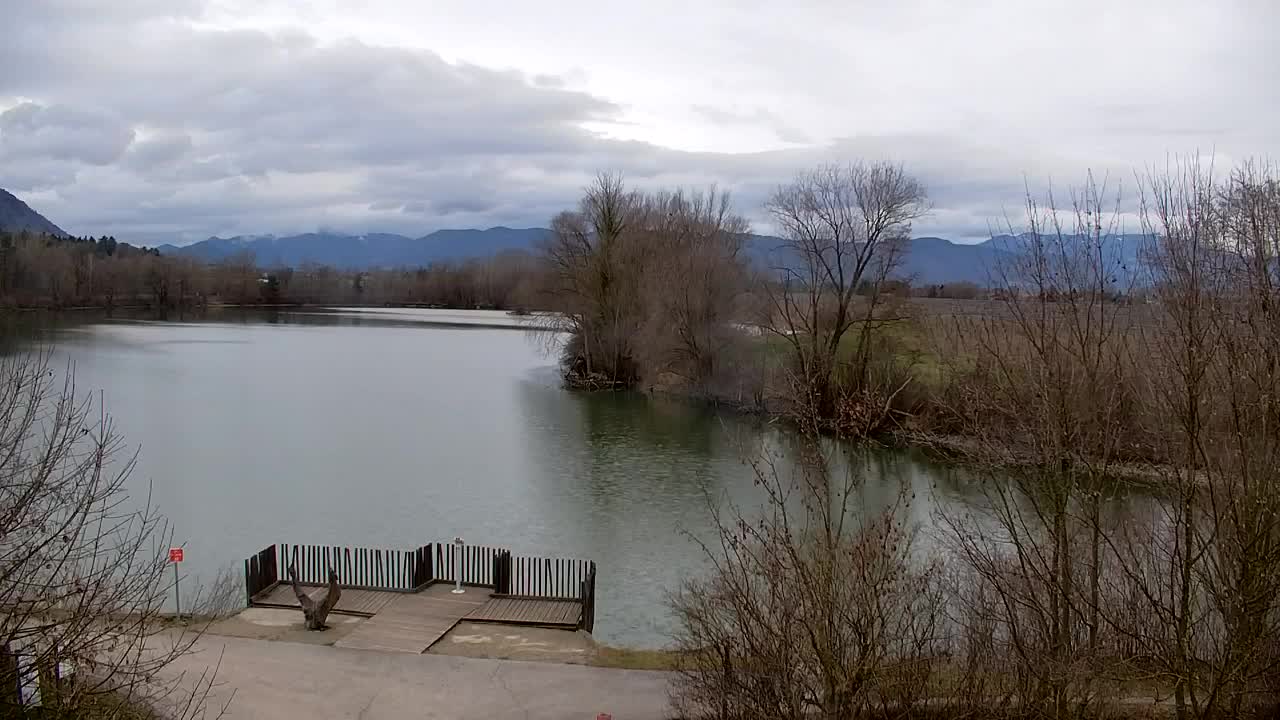 Webcam Ribnik Vrbje – Žalec