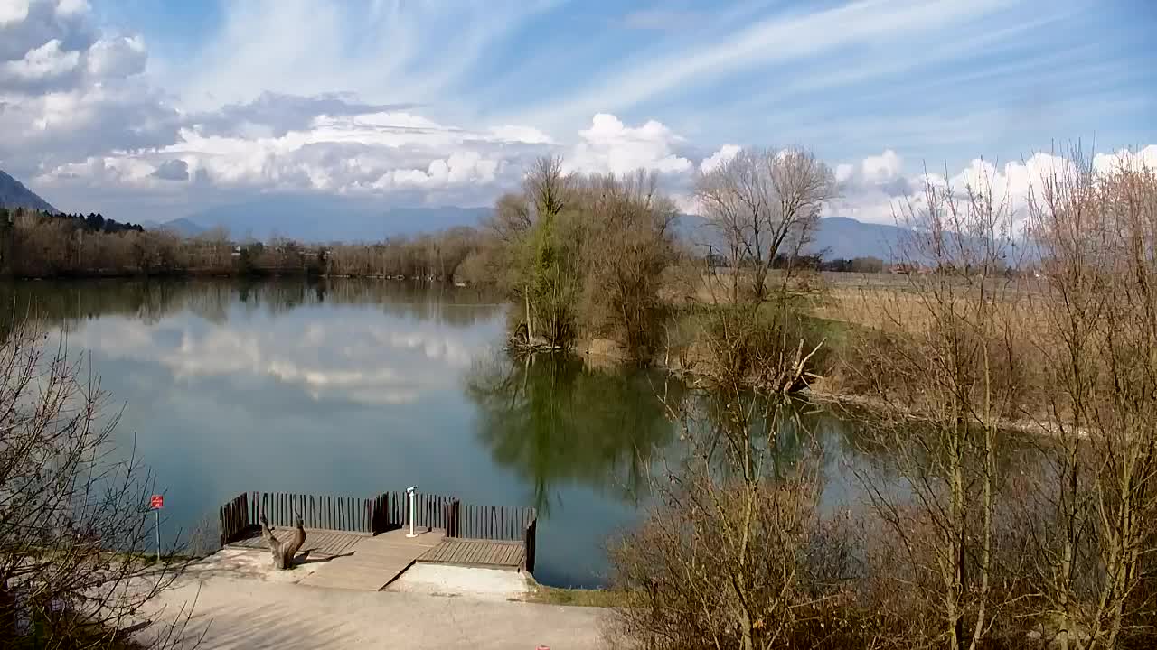 Webcam Ribnik Vrbje – Žalec