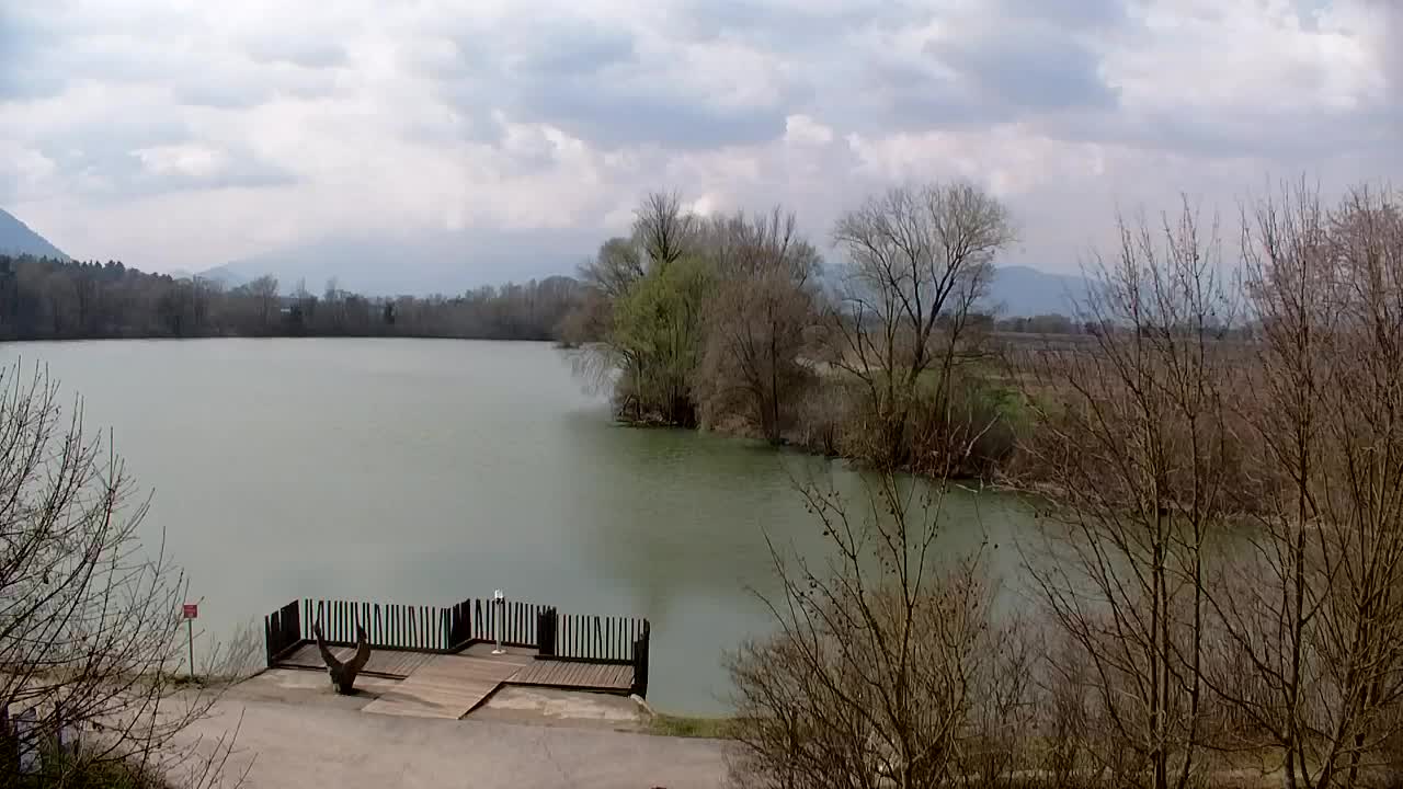 Spletna kamera Ribnik Vrbje – Žalec