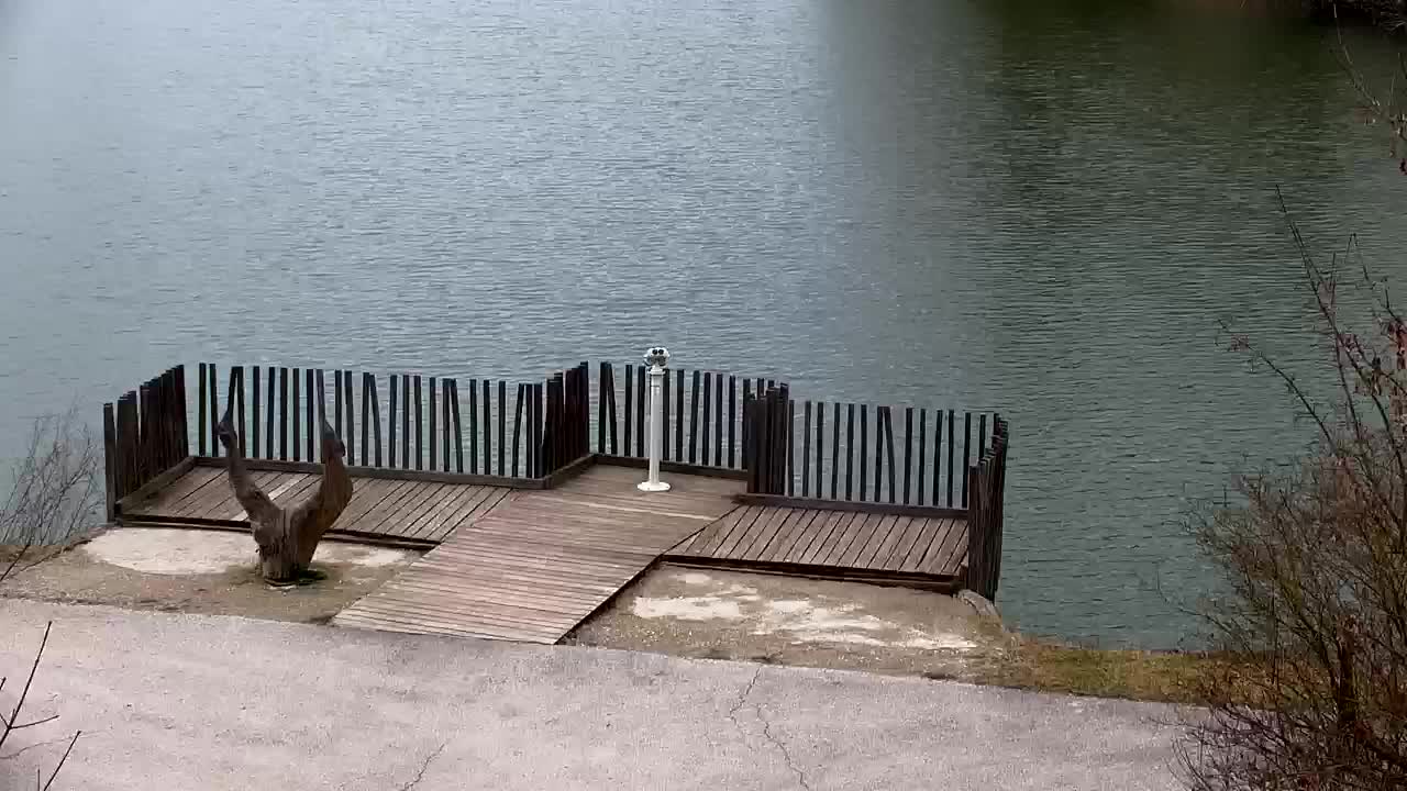 Webcam Ribnik Vrbje – Žalec