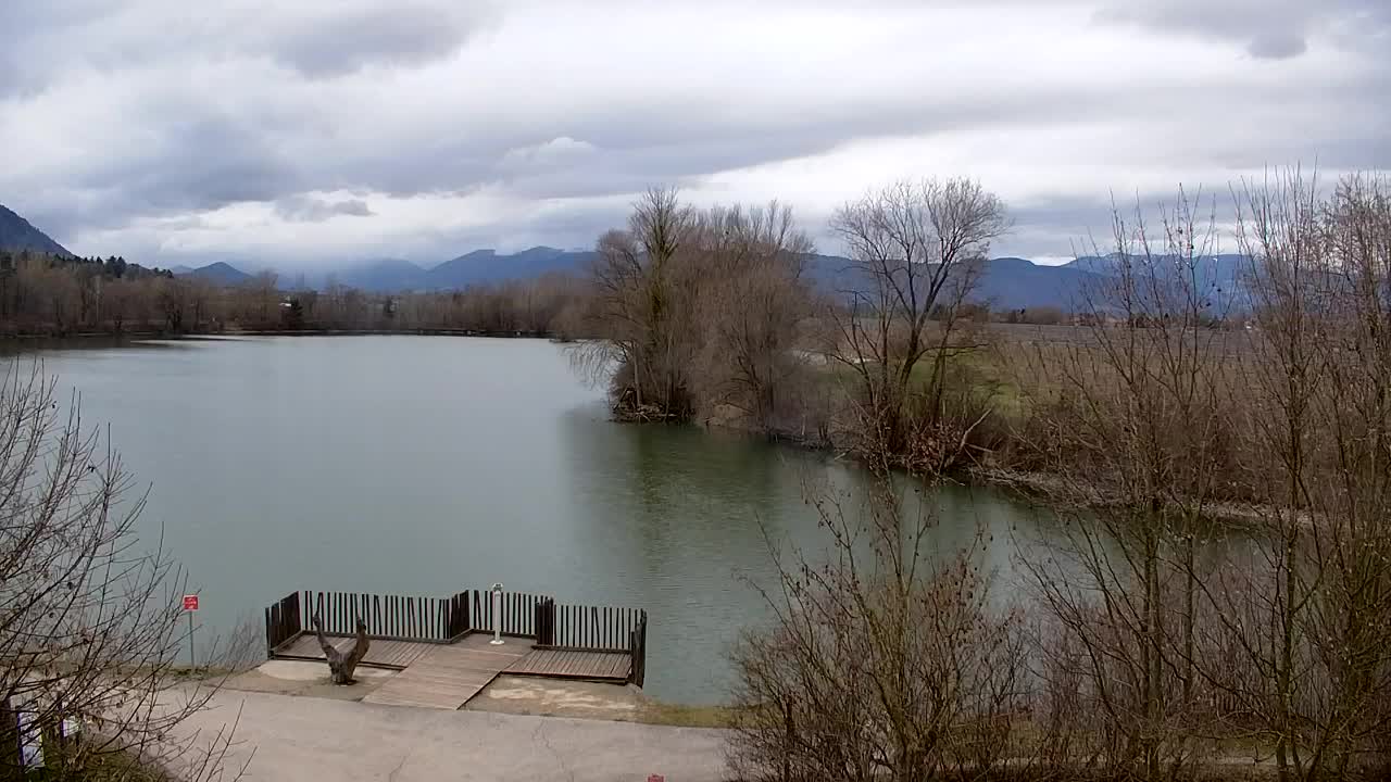 Web kamera Ribnik Vrbje – Žalec