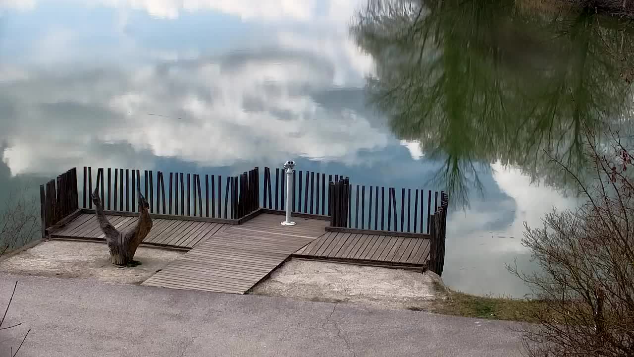 Webcam Ribnik Vrbje – Žalec