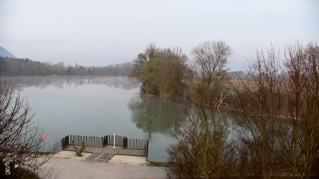 Spletna kamera Ribnik Vrbje – Žalec