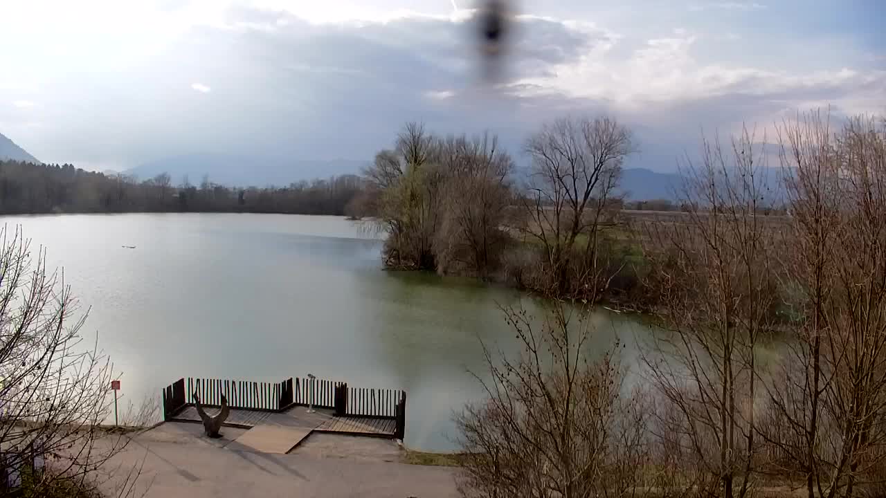 Webcam Ribnik Vrbje – Žalec