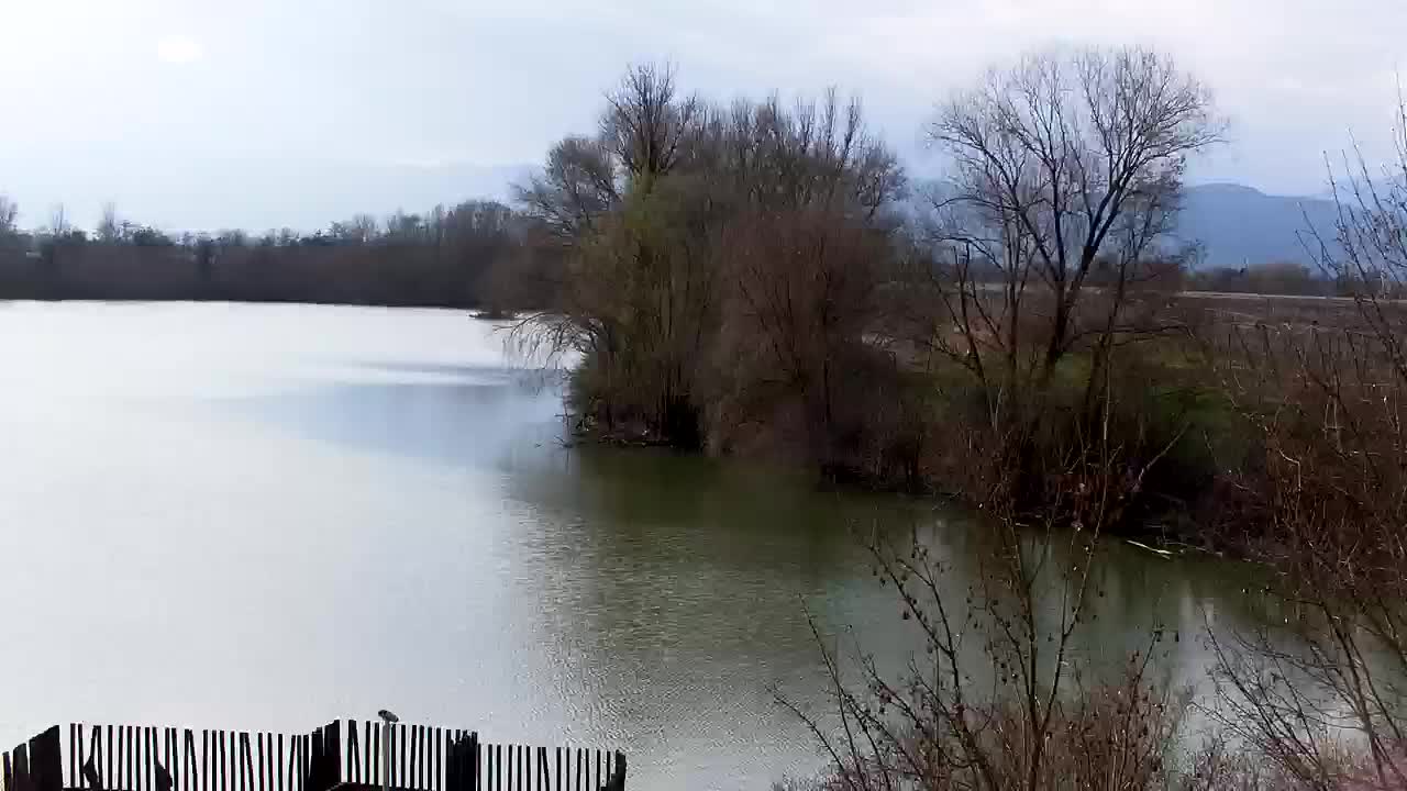 Webcam Ribnik Vrbje – Žalec