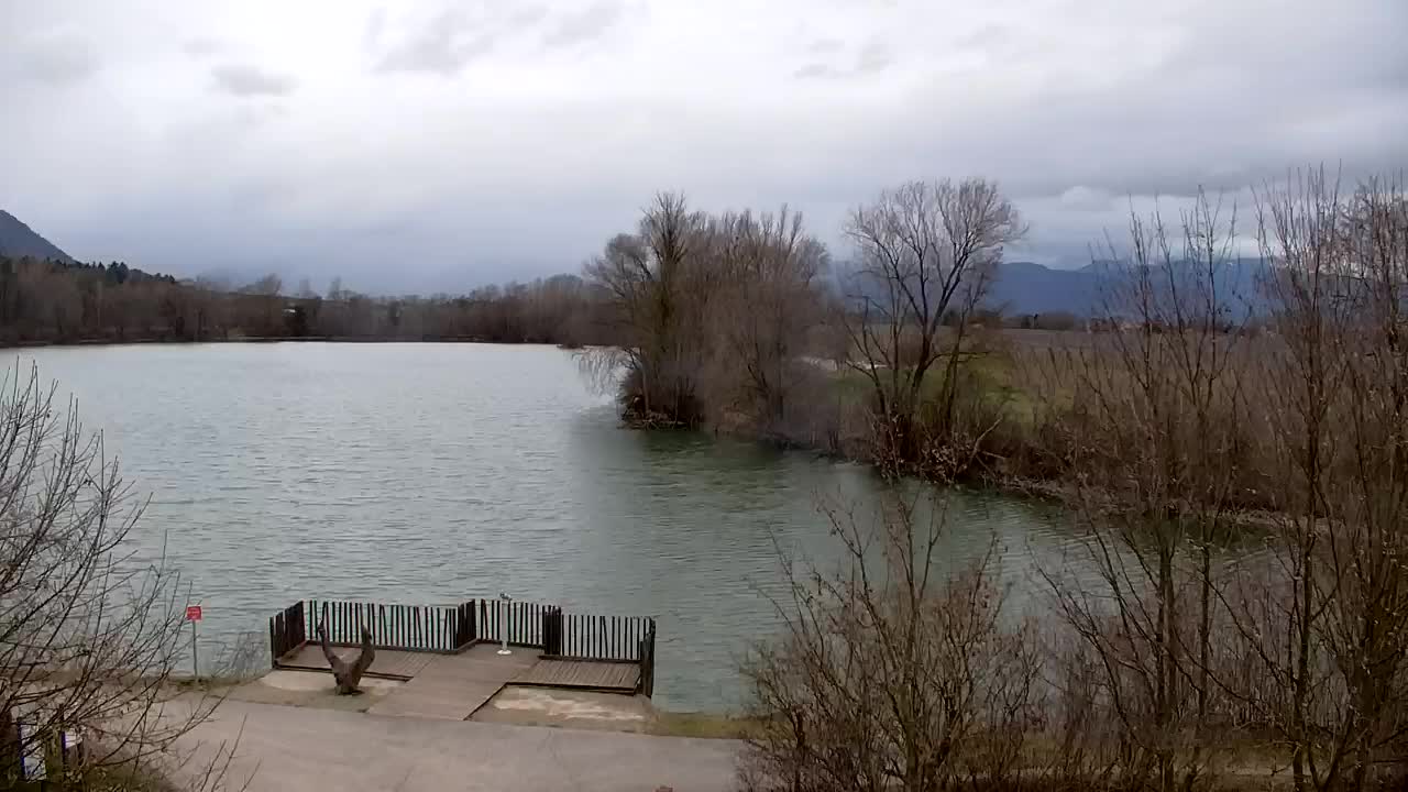 Webcam Ribnik Vrbje – Žalec