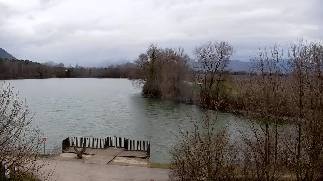 Webcam Ribnik Vrbje – Žalec