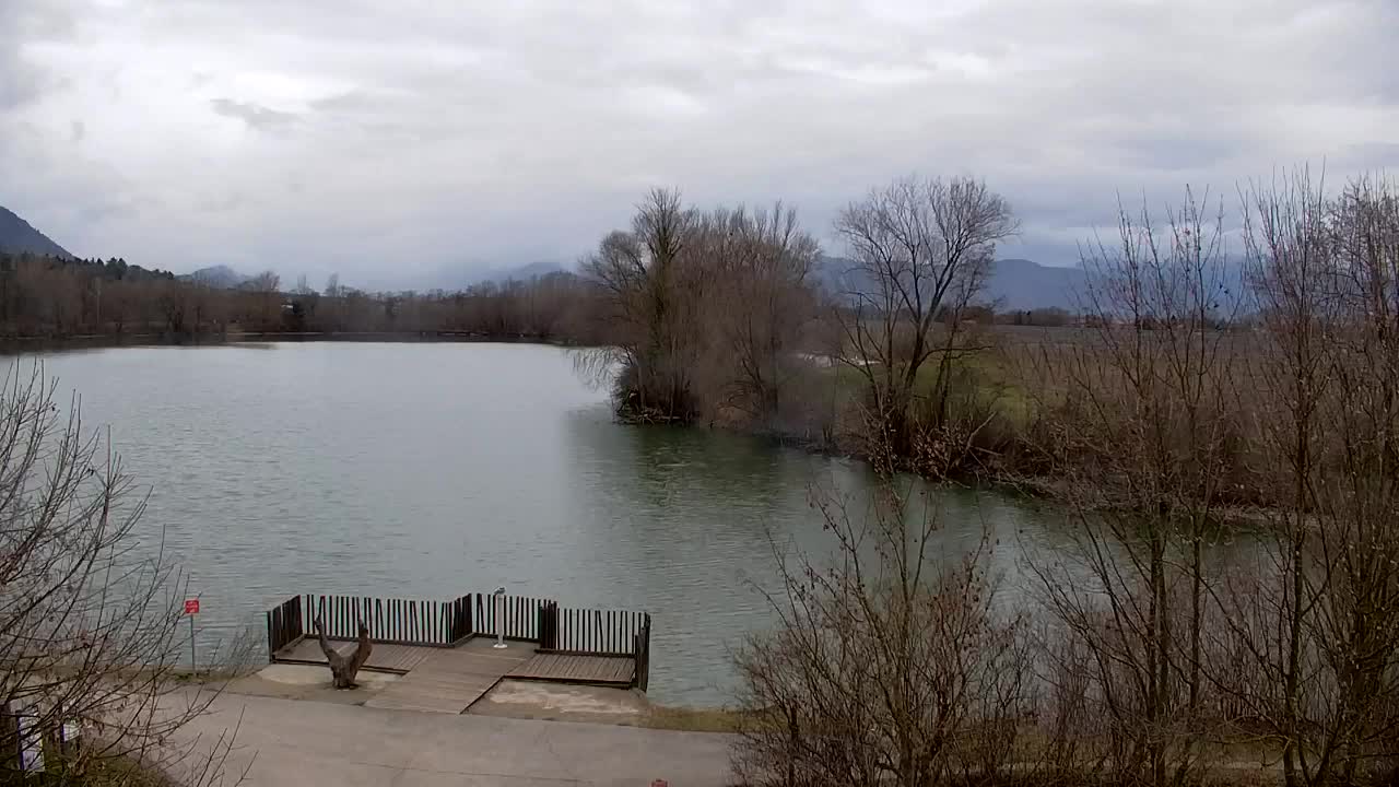 Webcam Ribnik Vrbje – Žalec