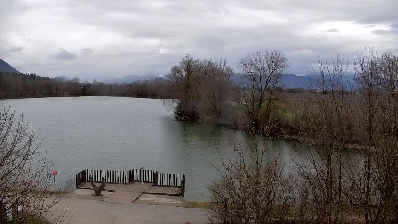 Webcam Ribnik Vrbje – Žalec