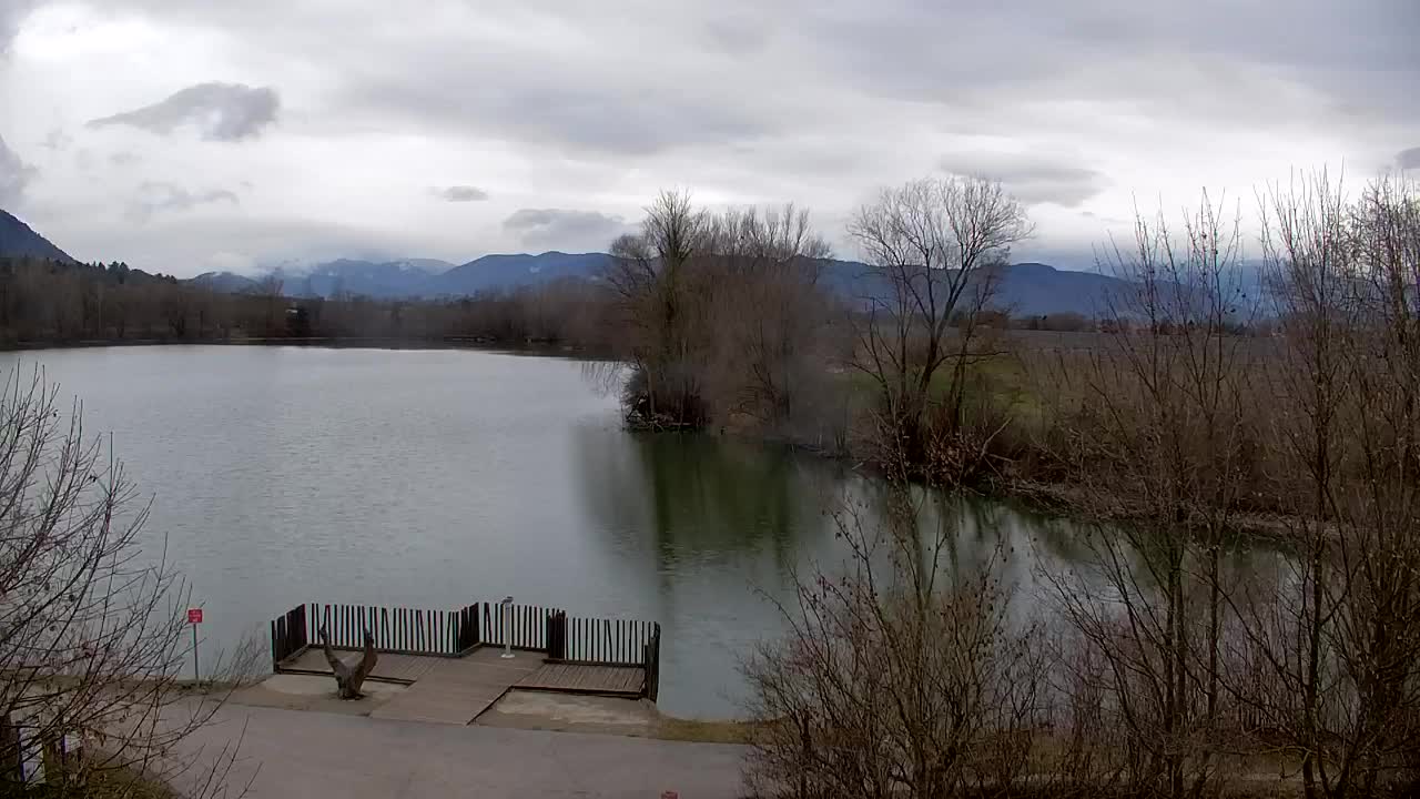 Webcam Ribnik Vrbje – Žalec