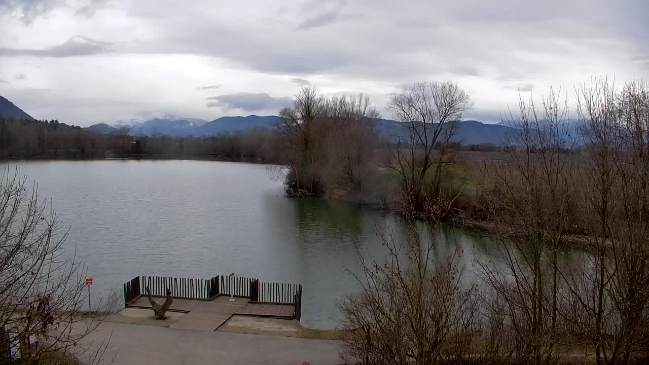 Web kamera Ribnik Vrbje – Žalec