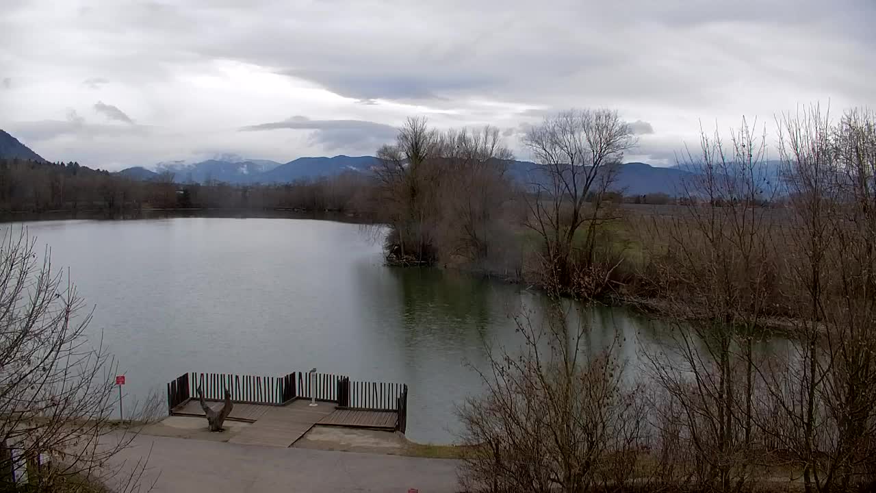 Web kamera Ribnik Vrbje – Žalec