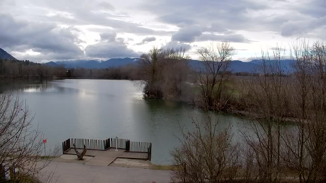 Spletna kamera Ribnik Vrbje – Žalec