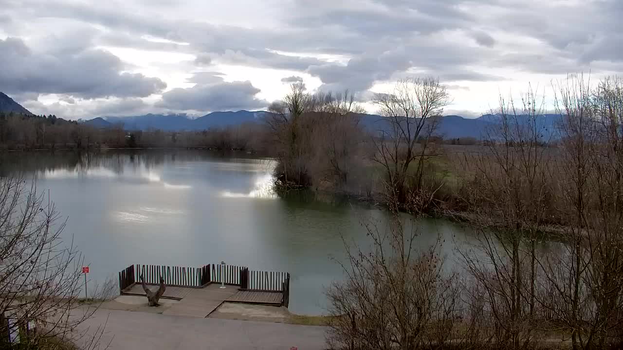 Spletna kamera Ribnik Vrbje – Žalec