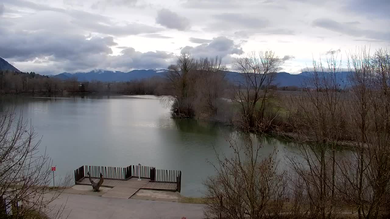 Webcam Ribnik Vrbje – Žalec