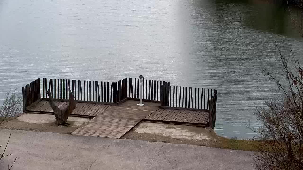 Webcam Ribnik Vrbje – Žalec