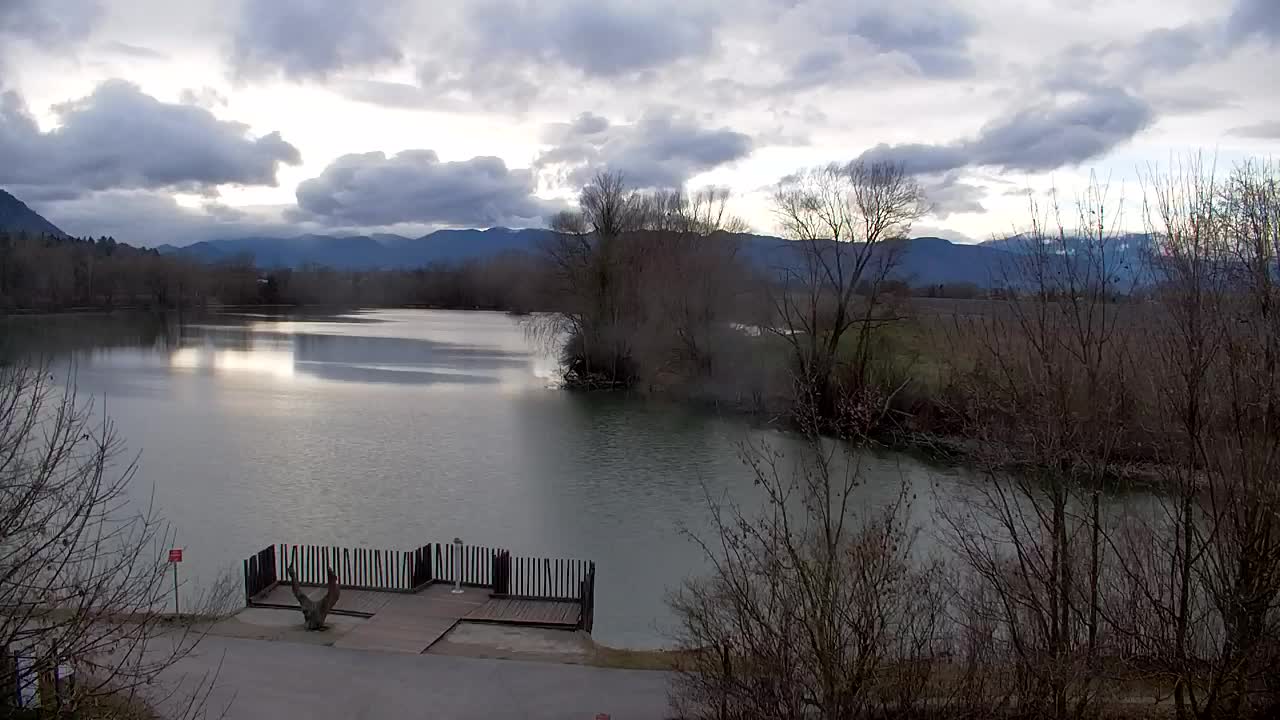 Webcam Ribnik Vrbje – Žalec