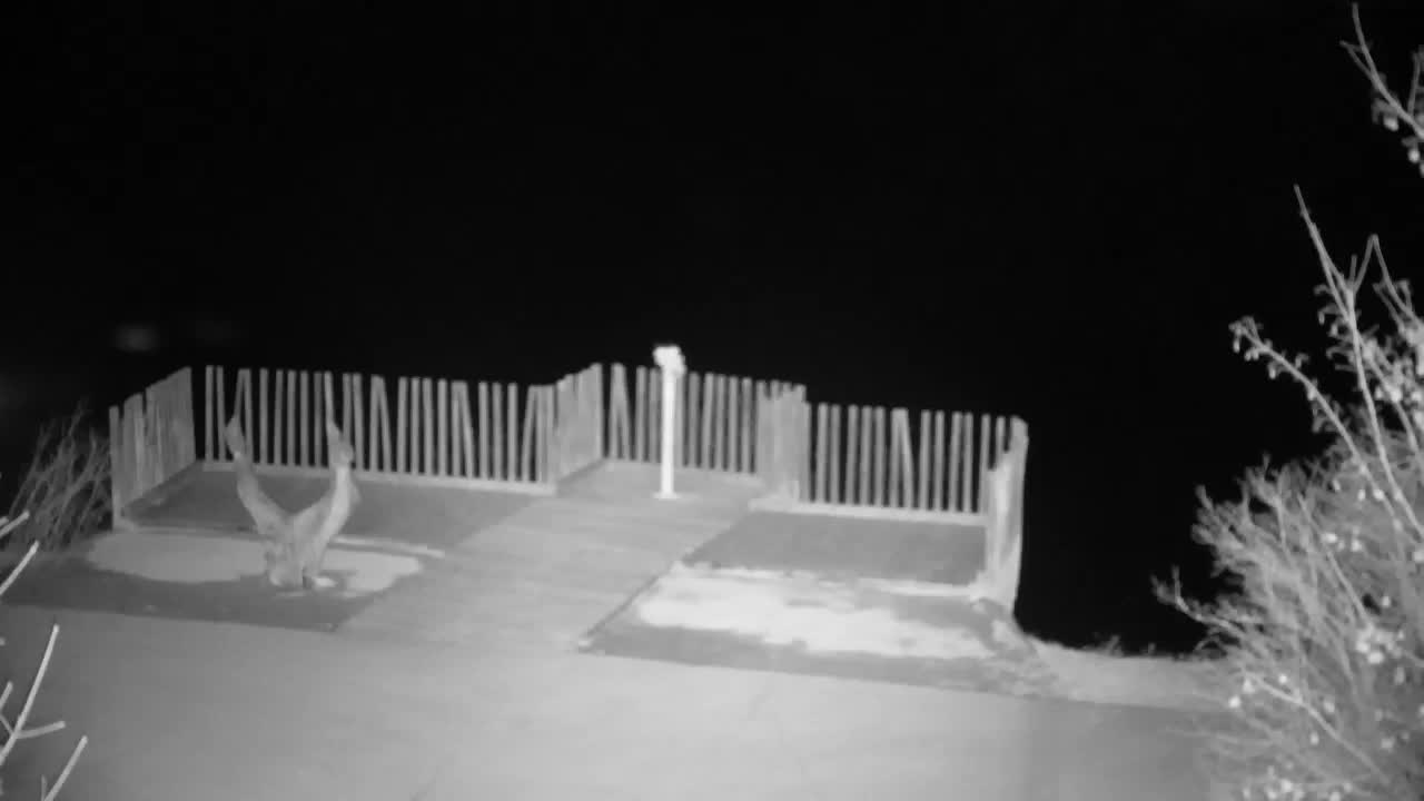 Webcam Ribnik Vrbje – Žalec