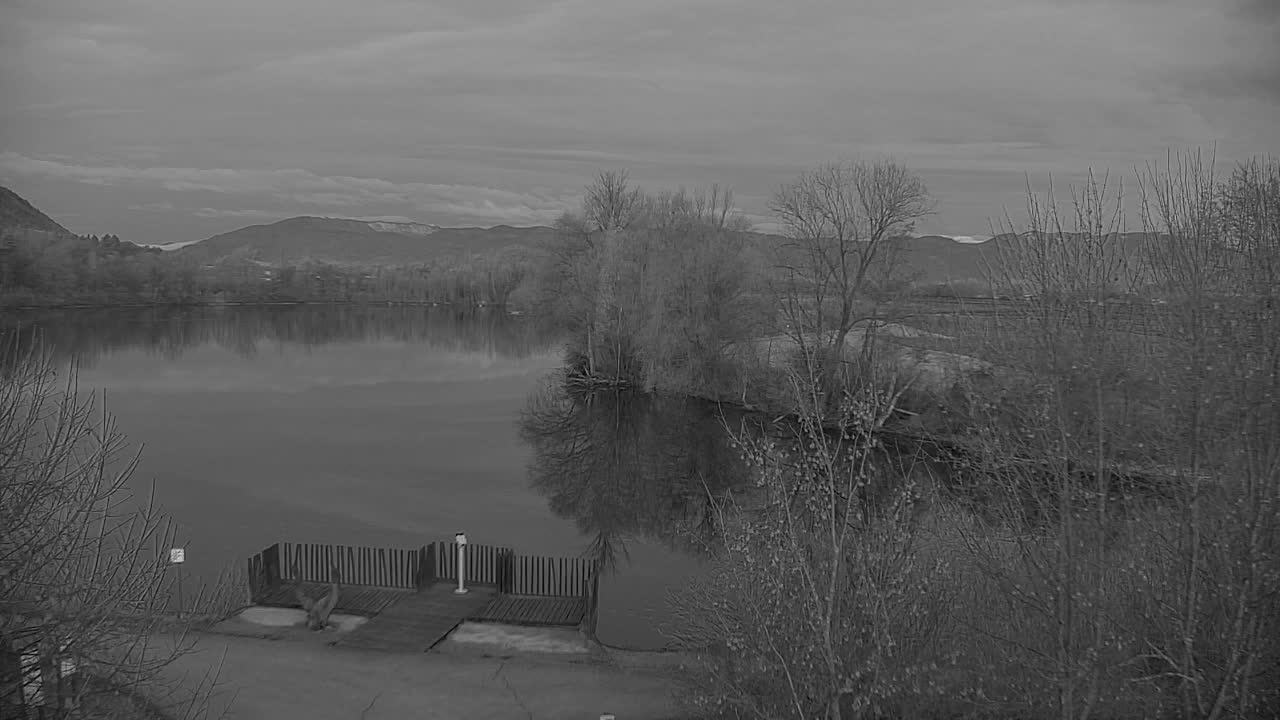 Web kamera Ribnik Vrbje – Žalec