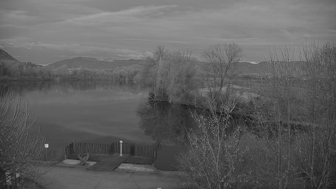 Webcam Ribnik Vrbje – Žalec