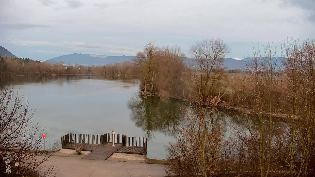 Webcam Ribnik Vrbje – Žalec