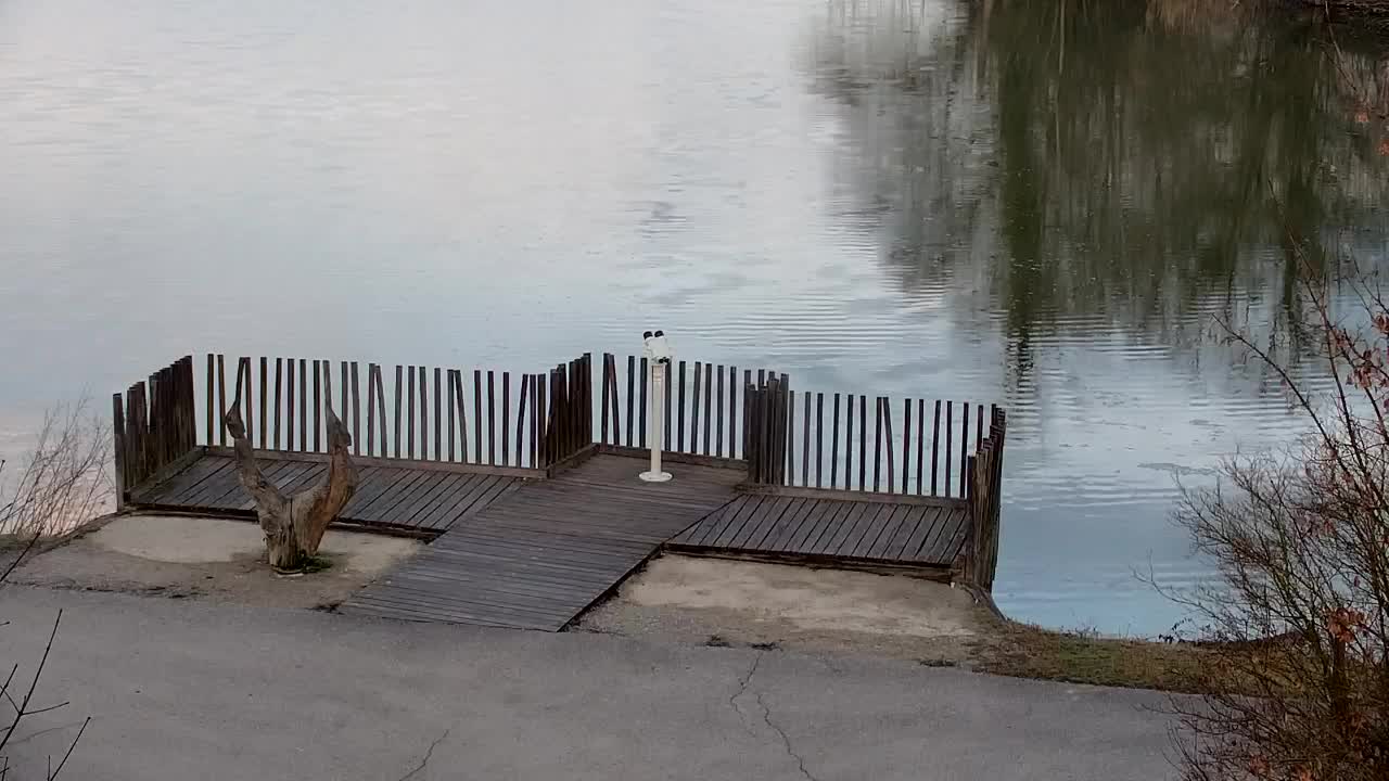 Webcam Ribnik Vrbje – Žalec