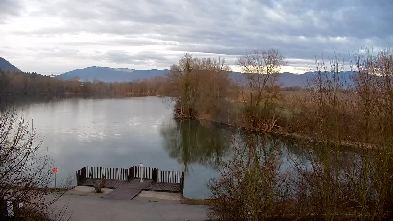 Web kamera Ribnik Vrbje – Žalec