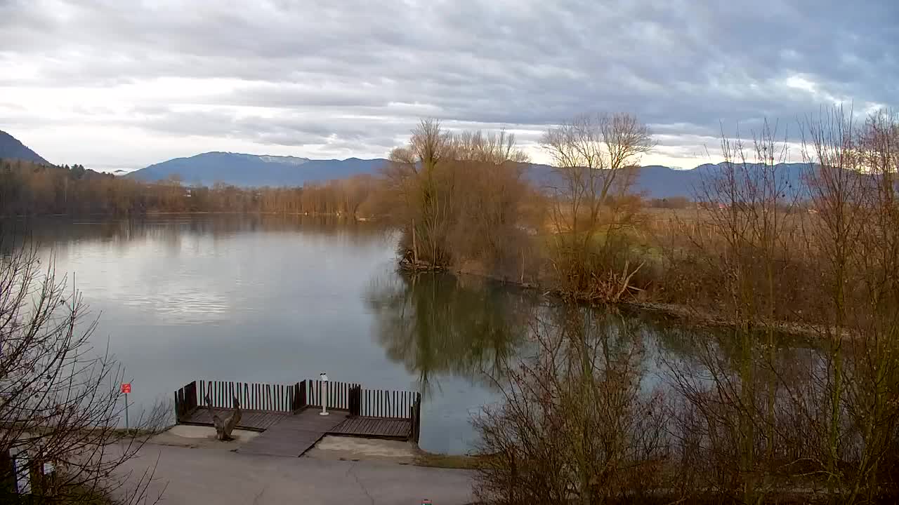 Webcam Ribnik Vrbje – Žalec