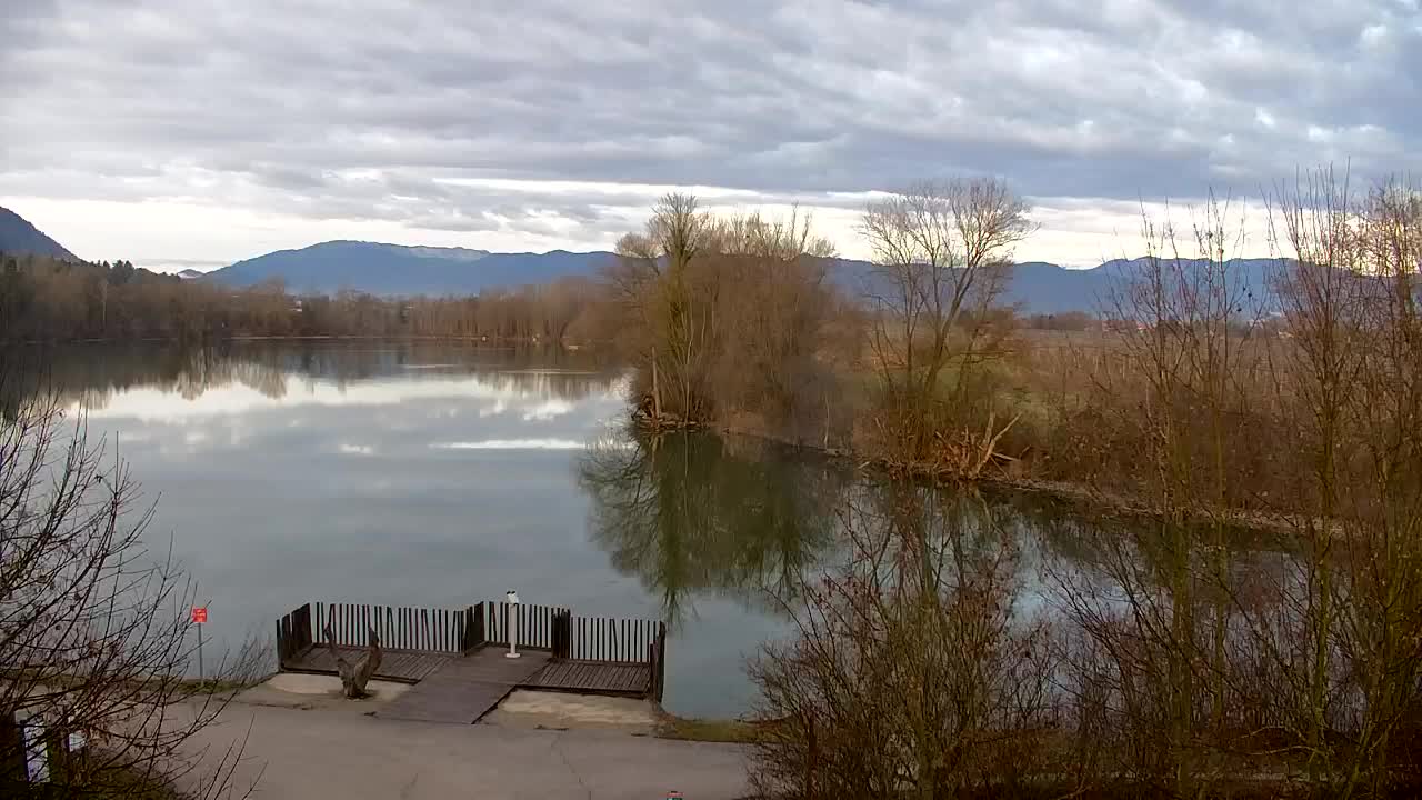 Webcam Ribnik Vrbje – Žalec