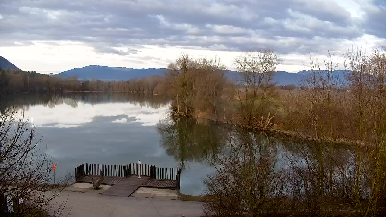 Web kamera Ribnik Vrbje – Žalec